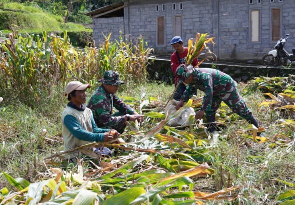 IMG-20260222-WA0082(1)