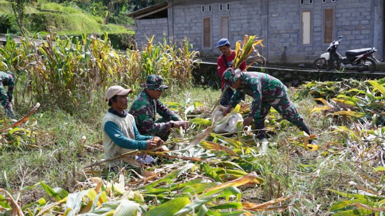 IMG-20260222-WA0082(1)